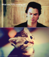 /album/funny/iansomerhlader-png/