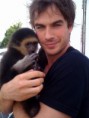 /album/funny/normal-ianandmonkey-jpg/